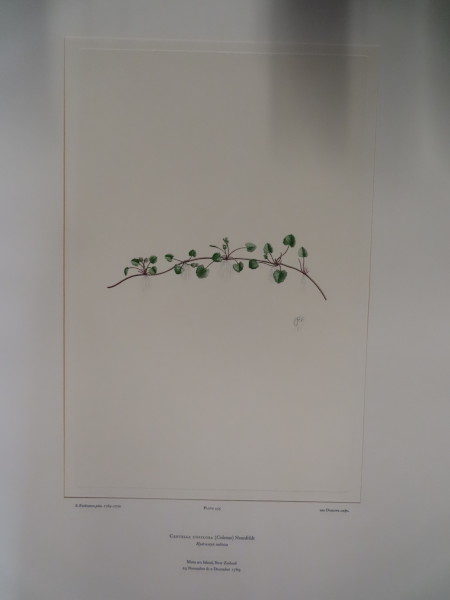 FDA-E.2916_22_12-2016 image FDA-E.2916_22_12-2016