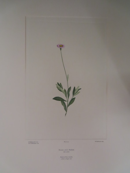 image FDA-E.2916_7_25-2016