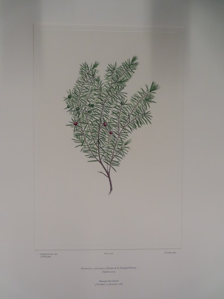 image FDA-E.2916_24_13-2016