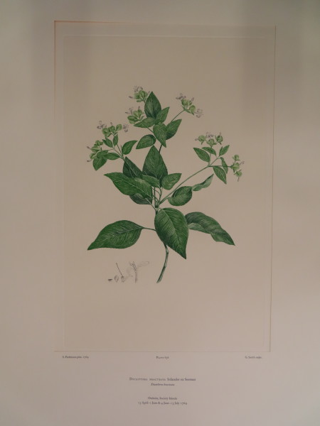 image FDA-E.2916_30_11-2016-A