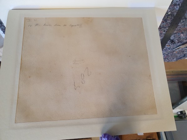 FDA-D.1692-2023-I image FDA-D.1692-2023-I