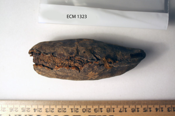 ECM.1323-2010-B image ECM.1323-2010-B