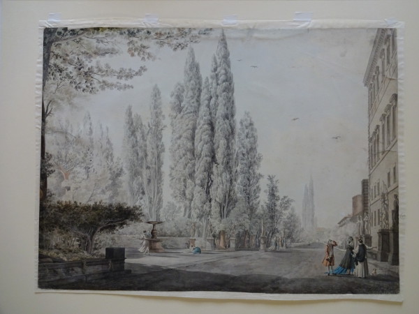 image FDA-D.1556-2016