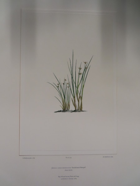 image FDA-E.2916_34_21-2016-A