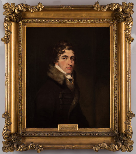 FDA-P.225-2010-cr image FDA-P.225-2010-cr