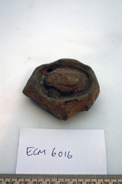 ECM.6016-2017-B image ECM.6016-2017-B