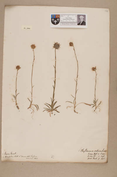 NHM_HH_26.6-2010 image NHM_HH_26.6-2010