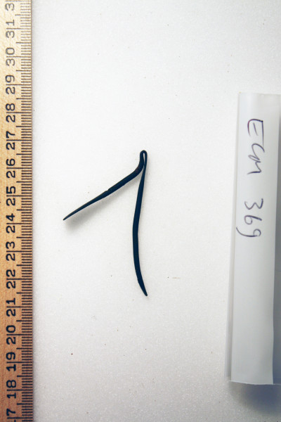 ECM.369-2010-A image ECM.369-2010-A