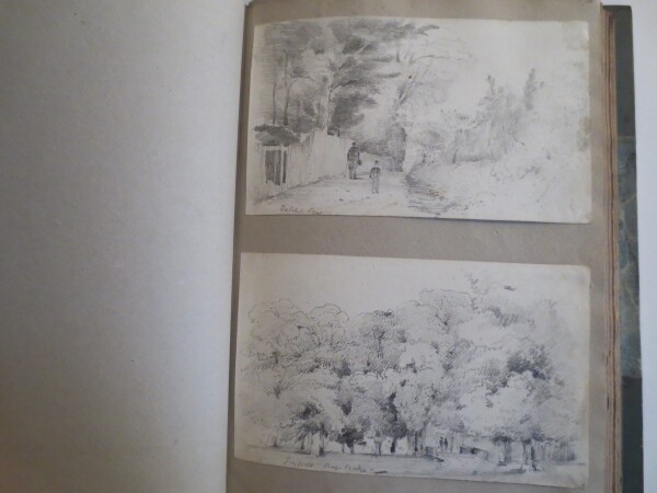 FDA-V.8-2016-AW image FDA-V.8-2016-AW