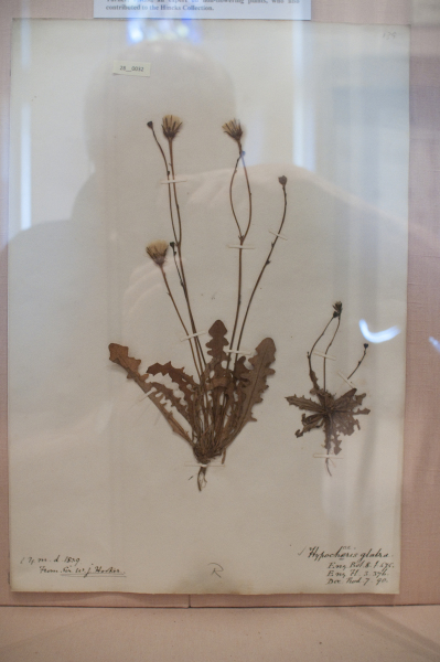 NHM_HH_28.32-2010 image NHM_HH_28.32-2010