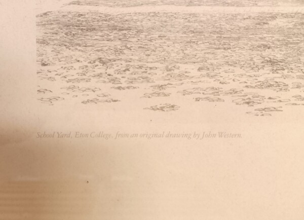 image FDA-E.3310-2025-B