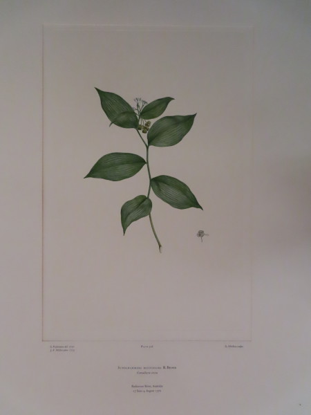 image FDA-E.2916_15_14-2016-A