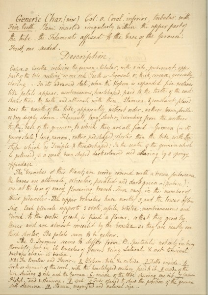 NHM-HH.5_2-2014-A image NHM-HH.5_2-2014-A