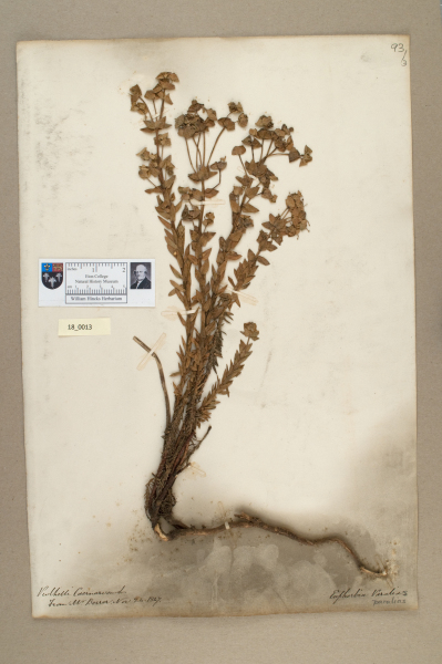 NHM_HH_18.13-2010 image NHM_HH_18.13-2010