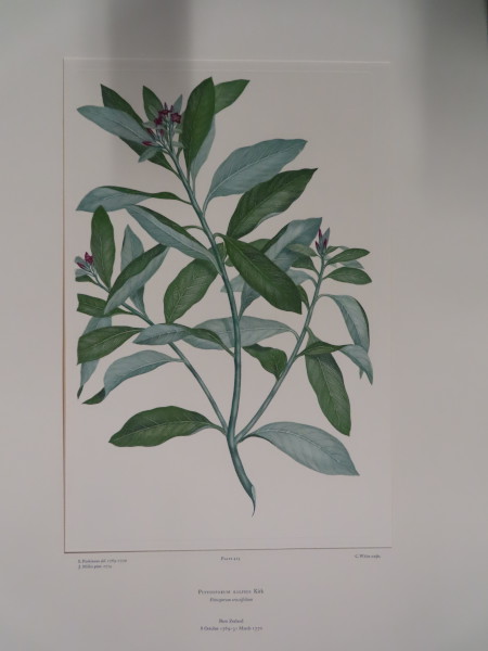 FDA-E.2916_20_15-2016 image FDA-E.2916_20_15-2016