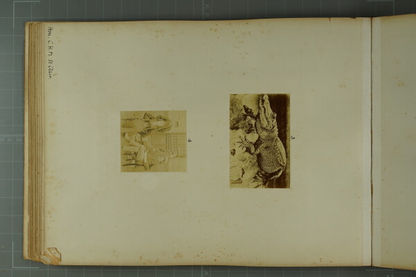 PA-A.81_30-2024 image PA-A.81_30-2024