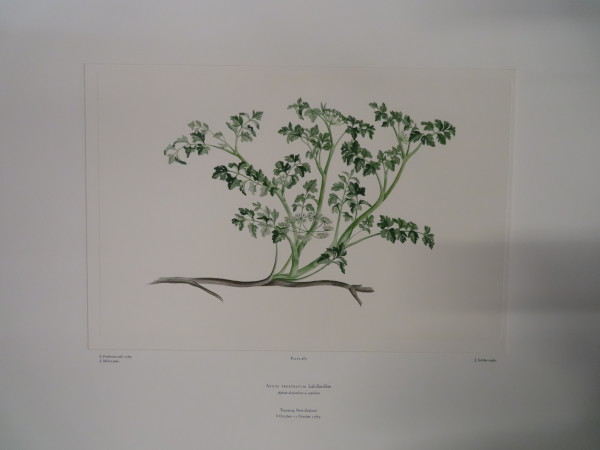 image FDA-E.2916_22_17-2016