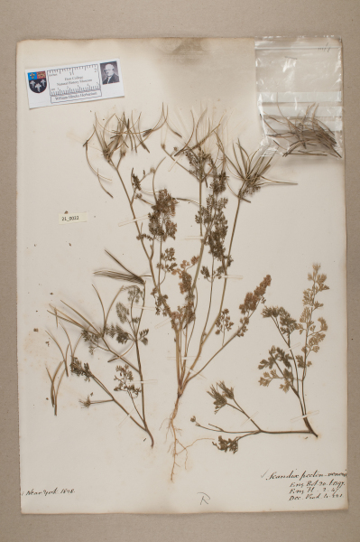 NHM_HH_21.22-2010 image NHM_HH_21.22-2010