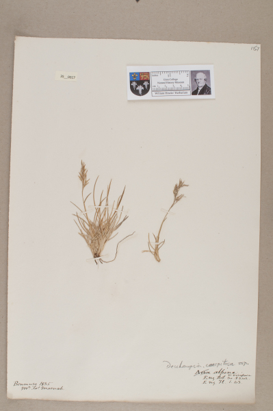 NHM_HH_35.17-2010 image NHM_HH_35.17-2010