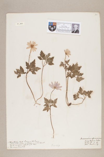 NHM_HH_7.21-2010 image NHM_HH_7.21-2010