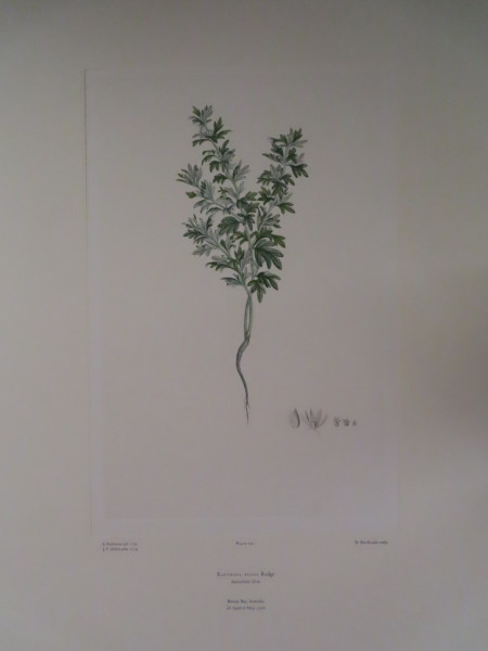 image FDA-E.2916_7_8-2016-A