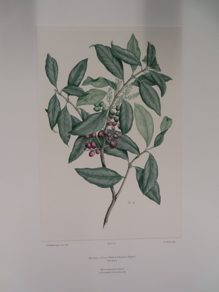 image FDA-E.2916_24_18-2016