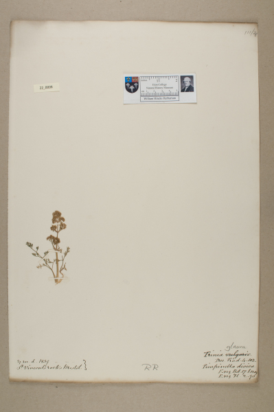 NHM_HH_22.8-2010 image NHM_HH_22.8-2010