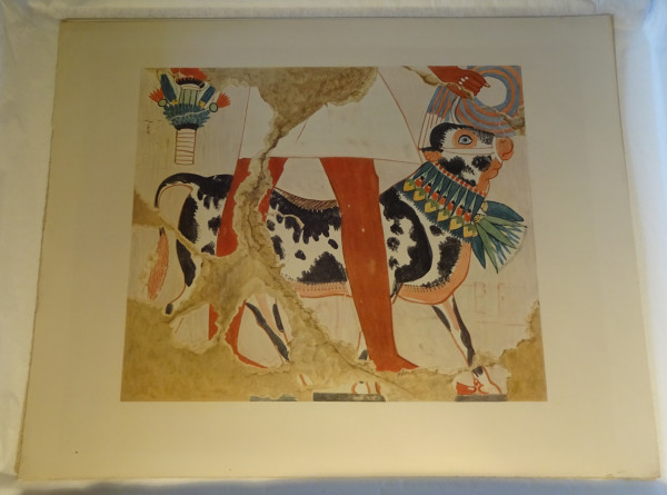 FDA-E.3055_22-2018 image FDA-E.3055_22-2018