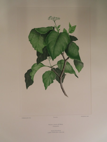 FDA-E.2916_30_16-2016-A image FDA-E.2916_30_16-2016-A