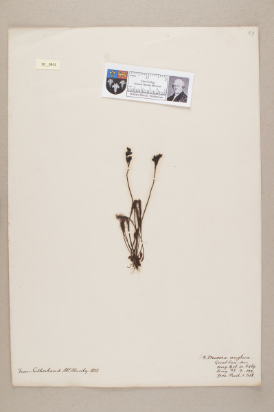 NHM_HH_10.41-2010 image NHM_HH_10.41-2010