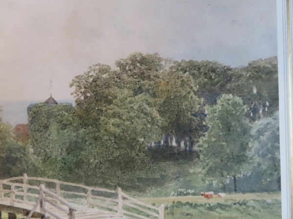 FDA-D.1709-2023-G image FDA-D.1709-2023-G