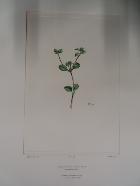 image FDA-E.2916_32_18-2016-A