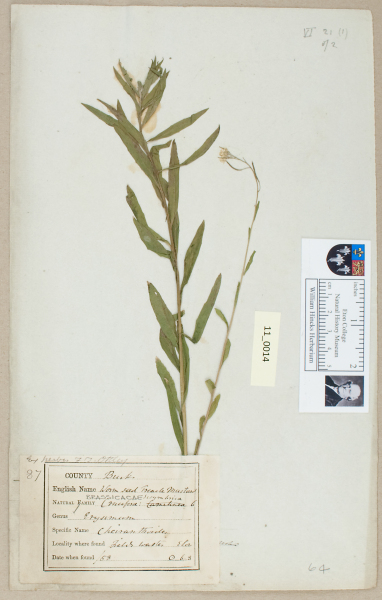 NHM_HH_11.14-2010 image NHM_HH_11.14-2010