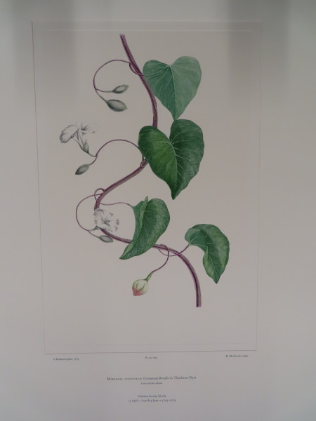 image FDA-E.2916_29_22-2016-A