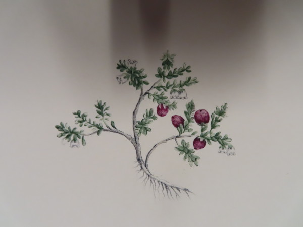 FDA-E.2916_34_4-2016-A image FDA-E.2916_34_4-2016-A