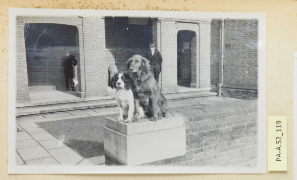 PA-A.52_119-2013 image PA-A.52_119-2013