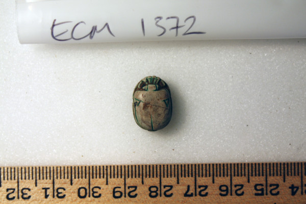 ECM.1372-2010-A image ECM.1372-2010-A