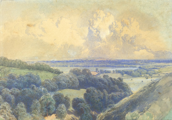 image FDA-D.250-2010