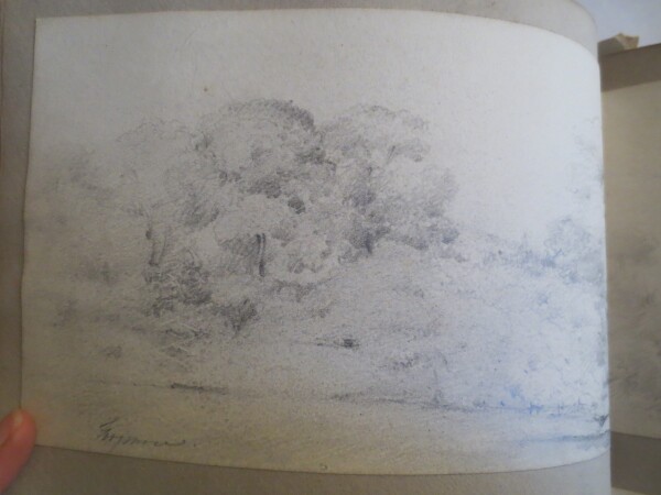 FDA-V.8-2016-BG image FDA-V.8-2016-BG