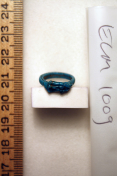 ECM.1009-2010-A image ECM.1009-2010-A