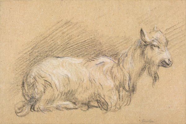 FDA-D.257-2010 image FDA-D.257-2010