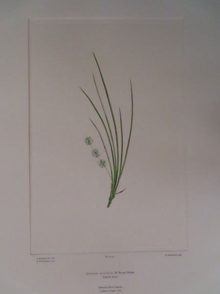 image FDA-E.2916_15_19-2016-A