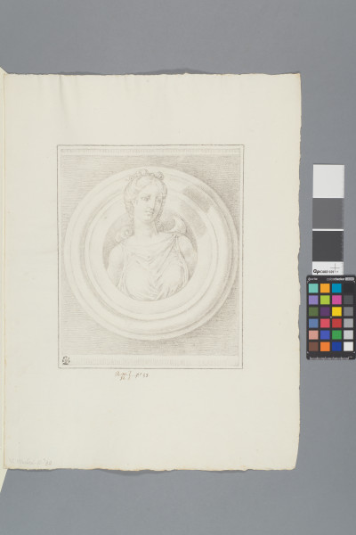 ECL-Bm.12_53-2013 image ECL-Bm.12_53-2013