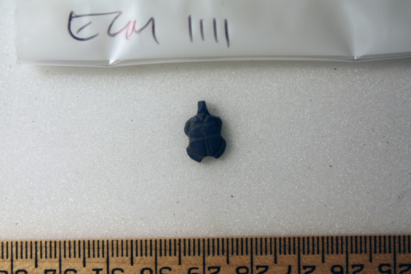 ECM.1111-2010-A image ECM.1111-2010-A