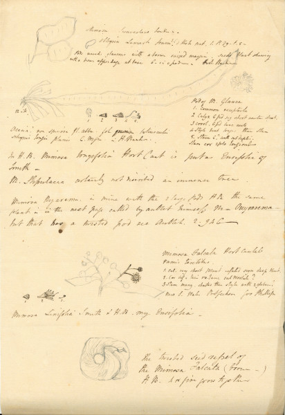 NHM-HH.12-2014 image NHM-HH.12-2014