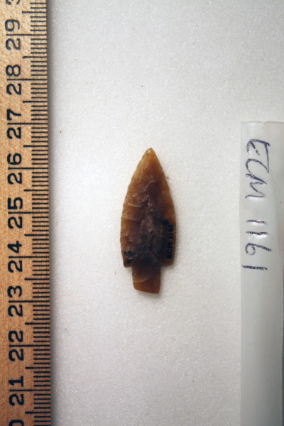 ECM.1161-2010-B image ECM.1161-2010-B