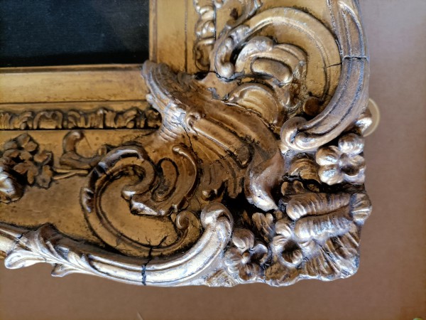 FDA-P.355-2010-P image FDA-P.355-2010-P