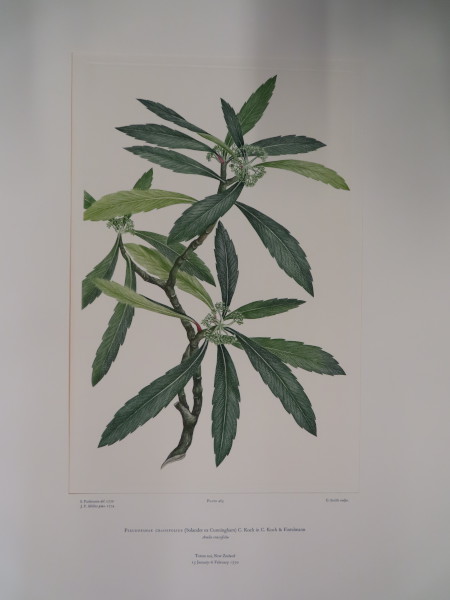 image FDA-E.2916_22_22-2016-A