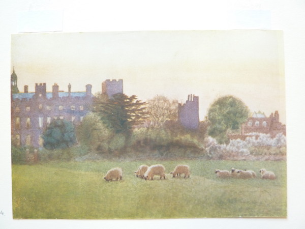 FDA-E.1425_4-2014 image FDA-E.1425_4-2014