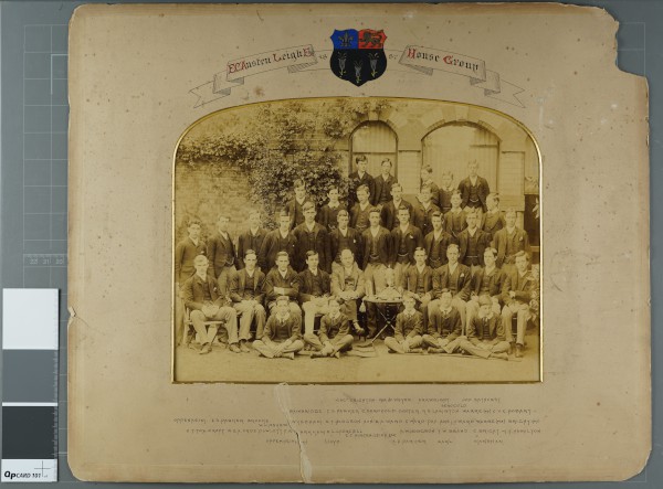 PA-PHA.1_31-2023 image PA-PHA.1_31-2023